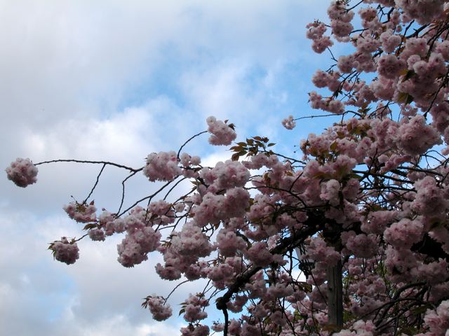 a0063846_0264033.jpg