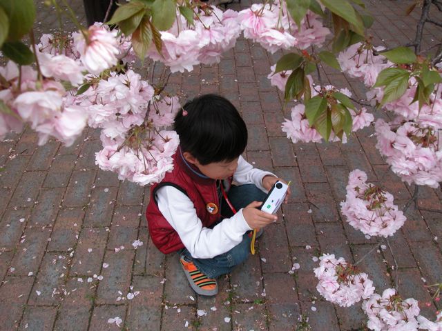 a0063846_0273833.jpg