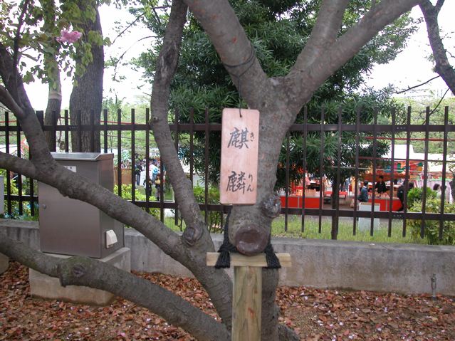 a0063846_0302972.jpg