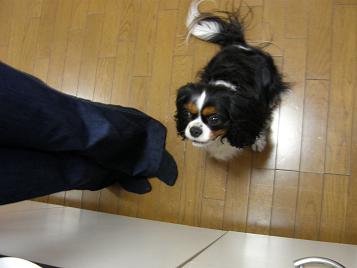 c0145250_1327984.jpg