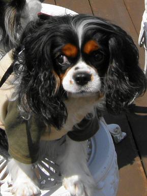 c0145250_1361115.jpg