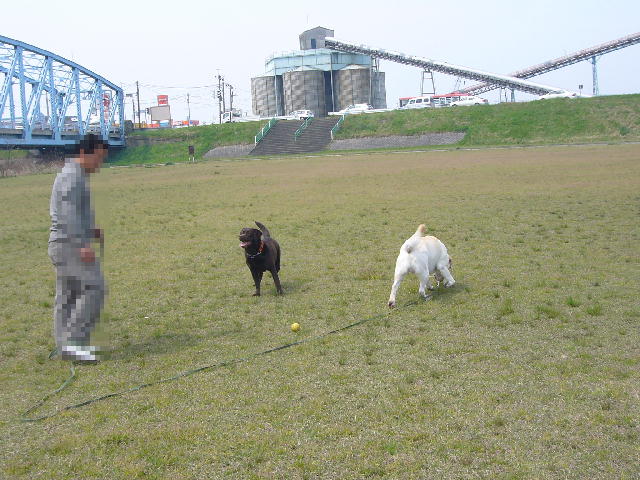 f0057565_10182694.jpg