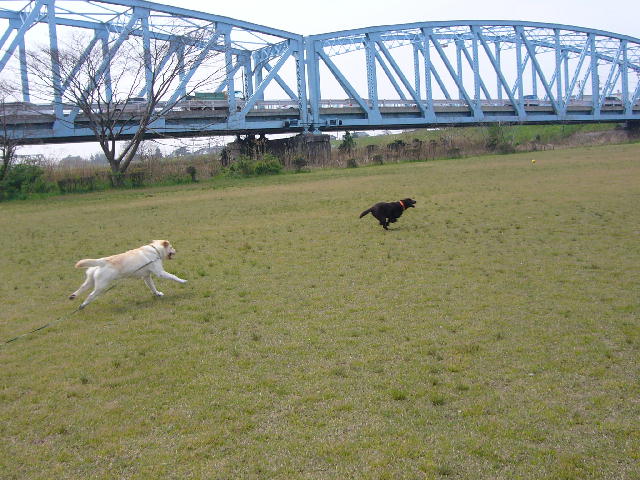 f0057565_1021442.jpg
