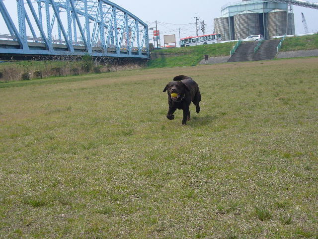 f0057565_1025162.jpg