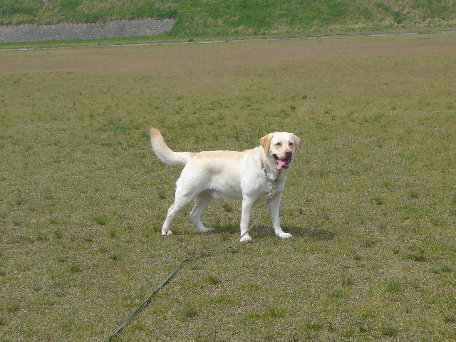 f0057565_102737.jpg