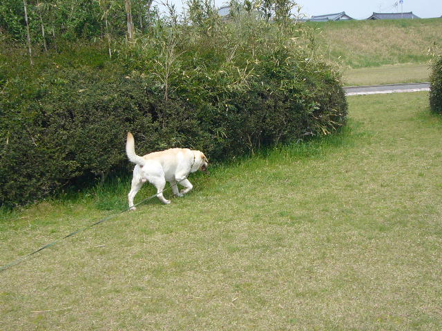 f0057565_10303987.jpg