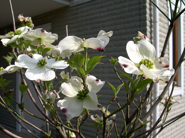 c0120872_16105553.jpg