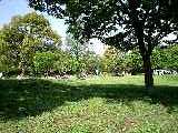 f0061674_20211673.jpg