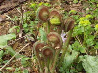 c0022275_2053430.jpg