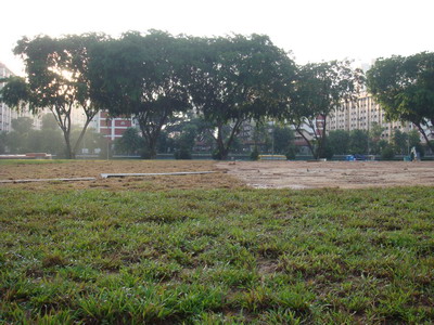 a0002177_9555615.jpg
