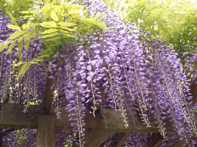 f0130894_20281339.jpg