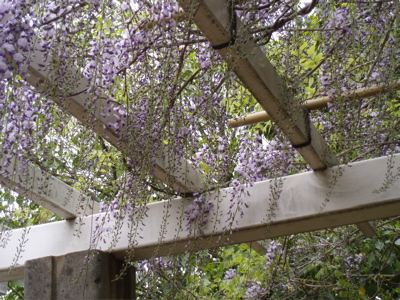 f0130894_20302014.jpg