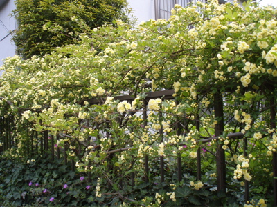 f0130894_20404318.jpg
