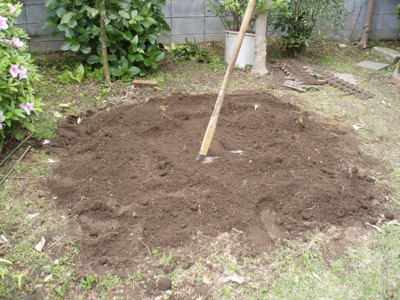 f0130894_2045311.jpg