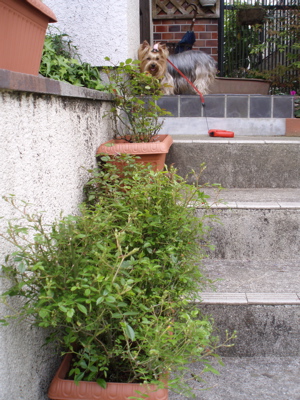 f0130894_20473181.jpg