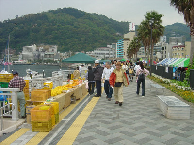f0155795_1453084.jpg