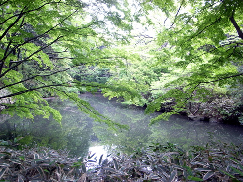 e0043700_19274171.jpg