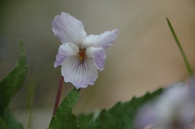 f0157901_9371883.jpg