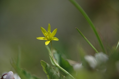 f0157901_937364.jpg