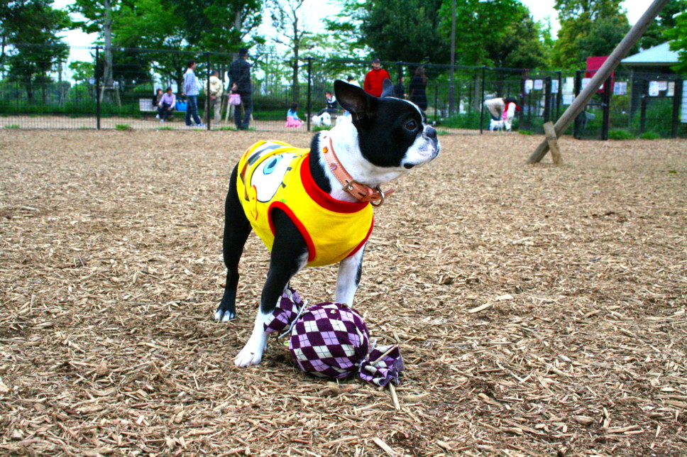 d0070702_115742.jpg