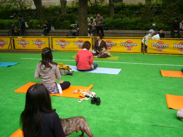d0070702_2148556.jpg