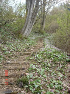 e0022903_23262498.jpg