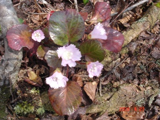 e0022903_23264688.jpg