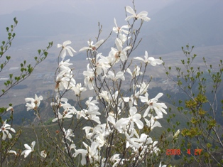 e0022903_2327829.jpg