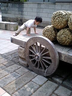 c0087305_15422628.jpg