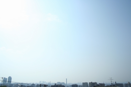 d0131006_2022687.jpg