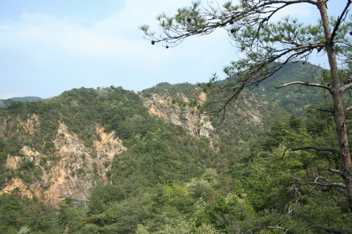 d0131006_2154328.jpg