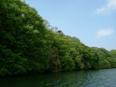 d0145806_21503791.jpg