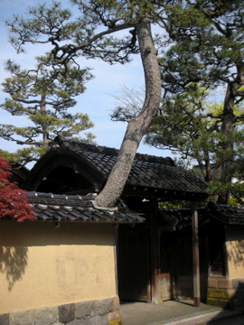 c0145209_16163292.jpg