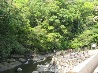 d0104209_21505445.jpg
