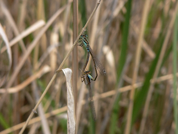 e0002314_21371835.jpg
