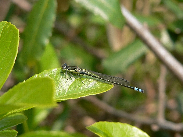 e0002314_21442287.jpg