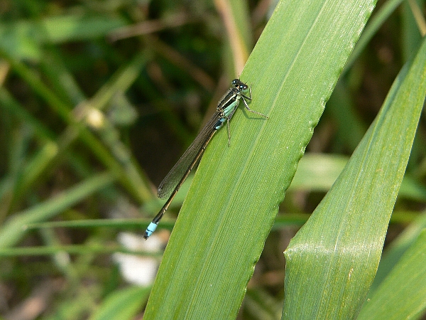 e0002314_21501611.jpg