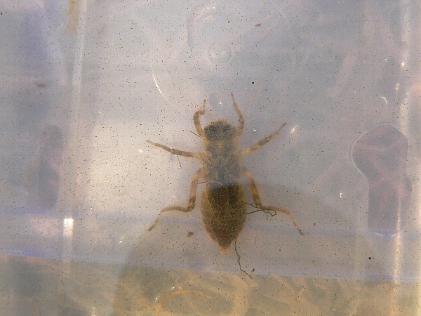 e0002314_21512942.jpg