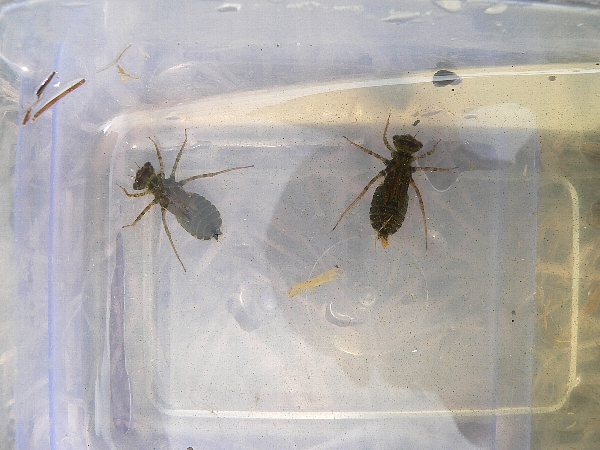 e0002314_21522512.jpg