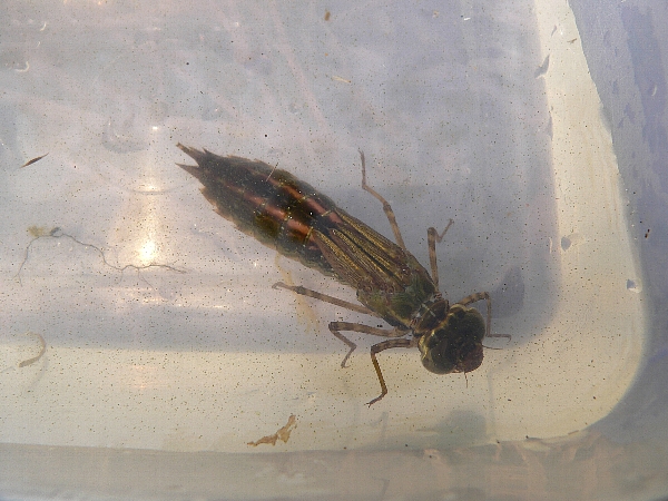e0002314_21531085.jpg