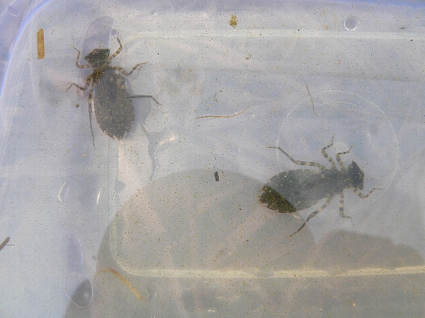 e0002314_21532374.jpg