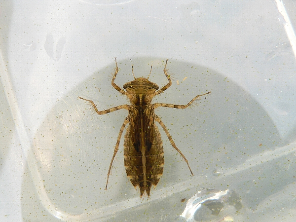 e0002314_2231455.jpg