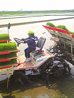 a0047618_2193281.jpg