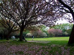 d0070920_17382871.jpg