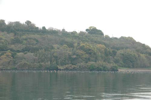 c0059521_19523320.jpg