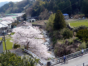 d0023725_17125066.jpg