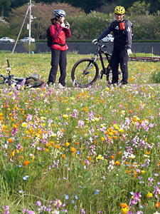 d0023725_1849642.jpg