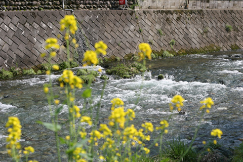 e0071225_230138.jpg