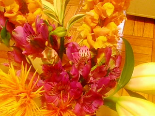 c0107826_2358126.jpg