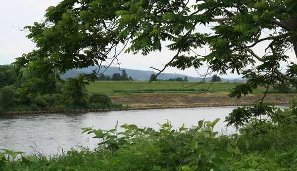 c0104227_1664239.jpg